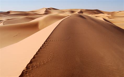 Dune Sand Desert Landscape Footprints Wallpapers Hd Desktop And