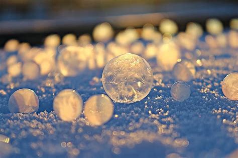 Soap Bubble Snow Frost Winter Cold Frosted Bubble Wintry Frozen
