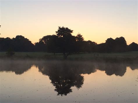 Morning Mist Mists Morning