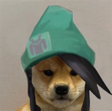 Search Doge With Hat Pfp Valorant Character Art Art Reference Cute