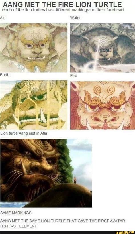 Aang Met The Fire Lion Turtle Each Of The Lion Turtles Has Different