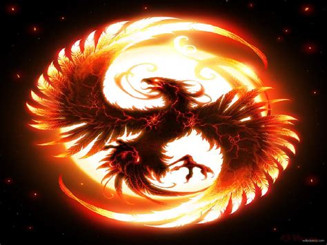 Free Download Fire Dragon Wallpapers Hd Wallpapers Pics