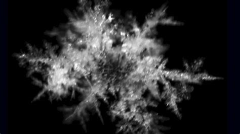Falling Snowflakes Photographed In 3d Fox News