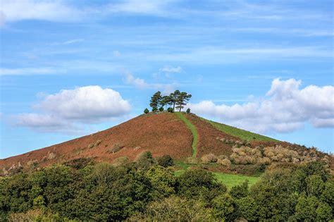 Colmers Hill England Photograph By Joana Kruse