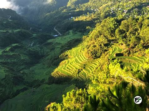 Maligcong Rice Terraces How To Visit Things To Do And More