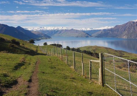 Rural Landscape Of New Zealand Stock Photo Image Of Natural Land