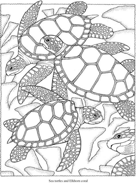 These ocean animals coloring pages are not just fun, they will. Freebie: Sea Turtle Coloring Page - Stamping