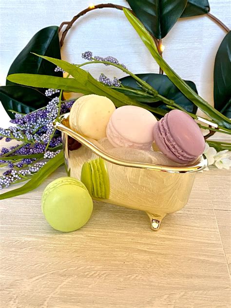 Macaron Soap Set Of 10 With Personalized Tag Party Favor French