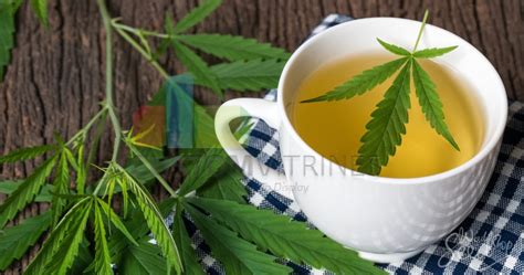 Top 10 Cannabis Infused Drinks You Must Try In 2019 Custom Vitrines Blog