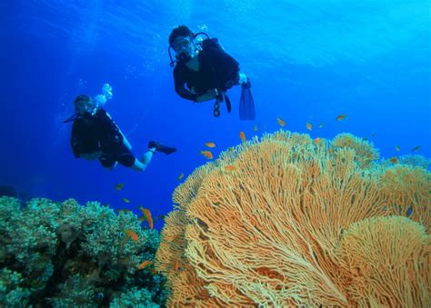 Top Snorkeling Spots In The Florida Keys Florida Yacht Charter