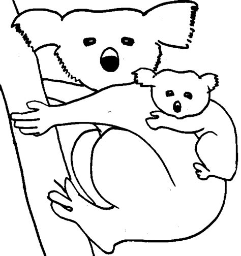 Line drawing pics 1723x2103 best koala pictures to color coloring pages bo 483x593 cute animal koala face print on the t shirt phone case Animal Coloring Pages - Koala and Bear Animal Free ...