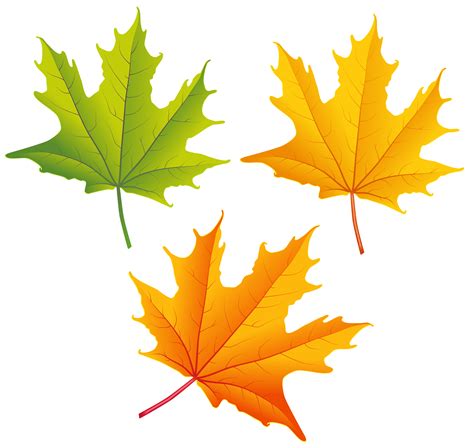 Autumn Leaves Clipart For Commercial Use Colorful Autumn Set Fall