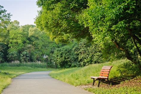 Green Park In Sunny Day Stock Image Image Of Outdoor 36147951