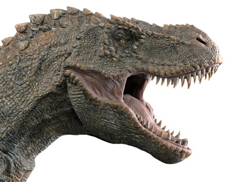 Free Image on Pixabay - Dinosaur, Tyrannosaurus | Tyrannosaurus png image
