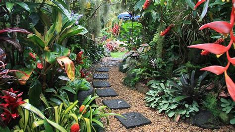Create A Tropical Garden In Your Home The Plant Guide