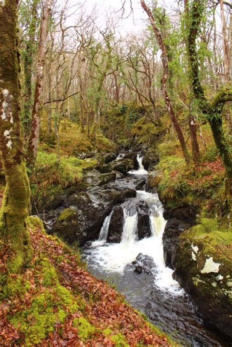 Twelve Of Scotlands Most Enchanting Forests To Explore Stv News