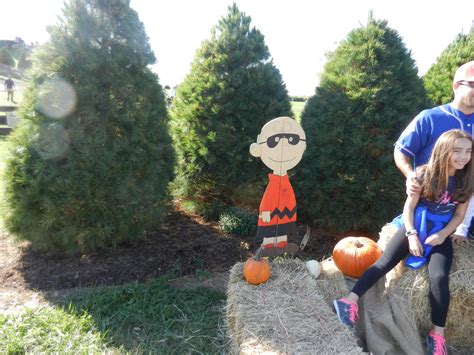 Charlie Brown Cardboard Stand Up Near Corn Maze By Dth1971 On Deviantart