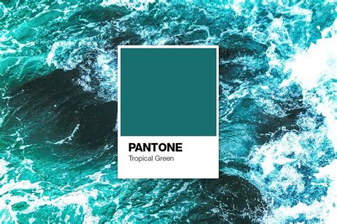 Pantone Color Cards Mockup By Pulpixeldesign Thehungryjpeg