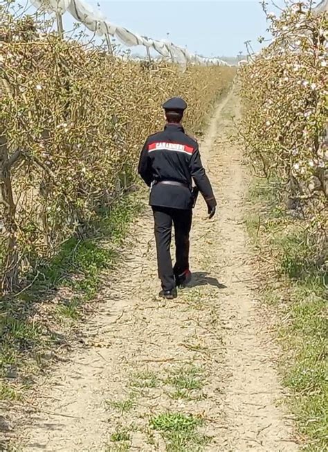 Lavoro Nero E Capolarato Ferrara Nessuna Pausa Concessa Neanche Per