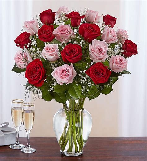 24 Long Stem Pink And Red Roses Bouquet Red Rose Bouquet Valentines