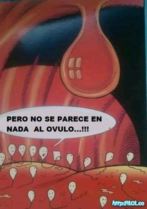 Sexo Humor