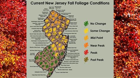 Latest Nj Fall Foliage Map Shows Leaves Changing Colors Through Most