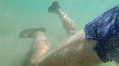 Snorkelling In Jamaica YouTube