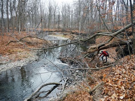 Stream Restoration Research Aims To Restore Habitat Of Endangered