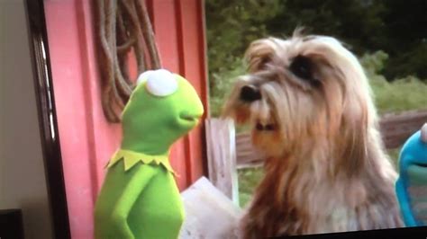 Kermits Swamp Years Pig Chases Kermit Extended Youtube