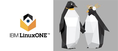 Ibm Linuxone Reducing The Tco For Operating Linux Workloads