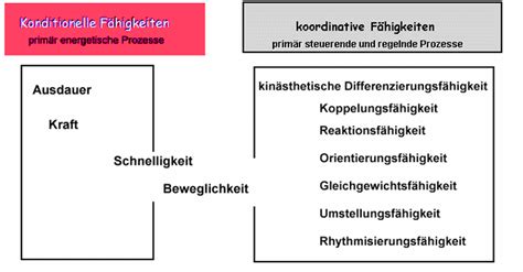 Unter koordinativen fähigkeiten (zusammenfassend singularisch auch koordinationsfähigkeit) versteht man allgemein das vermögen, verschiedene einzelaufgaben oder menschliche aktivitäten in einem komplexen aufgabenfeld so zu organisieren. Motorische Grundeigenschaften