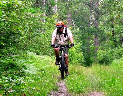 Mnbackcountry1 Until The Last Tall Pine Falls Cycling Into The Wild