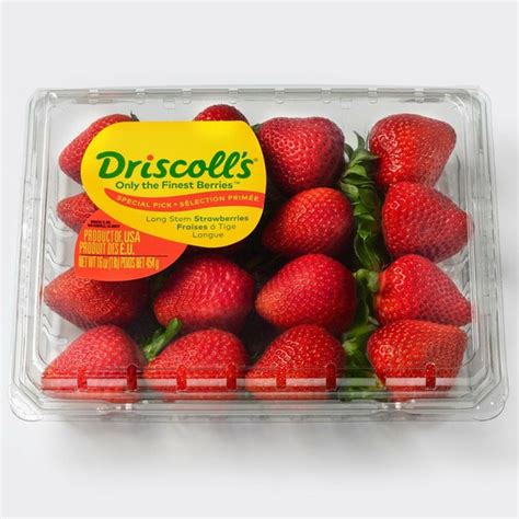 Driscolls Long Stem Strawberries 16 Oz Instacart