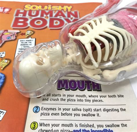 SmartLab Toys Squishy Human Body - Brain Game Toys