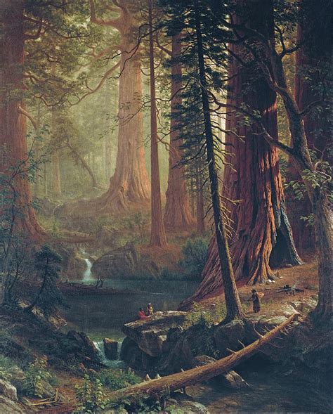 Most Beautiful Forest Paintings My Decorative