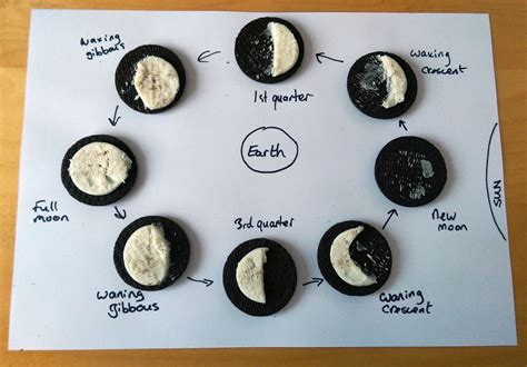Quick Science Idea Oreo Cookie Moon Phase Model