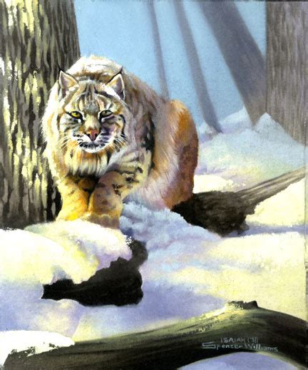 Animal Paintings Wildlife Painting Paintings Of Animals And Wildlife