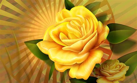 Gold Roses Nature Bonito Roses Golden Hd Wallpaper Peakpx