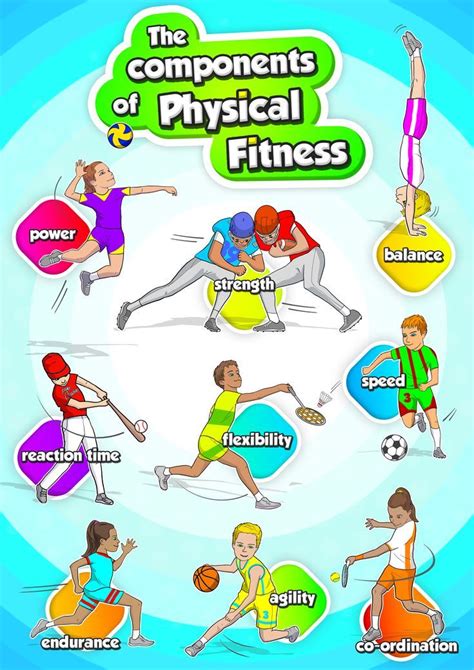 Pe Educational Posters The Components Of Physical Fitness All Grades