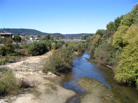 The san lorenzo river watershed is home to you and me, and all sorts of birds and bugs, fish and fungus, plants and amphibians. Information about "San Lorenzo River - low tide - sunny ...