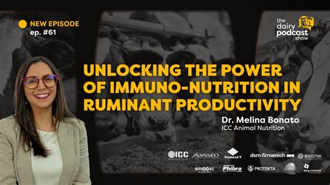 61 Unlocking The Power Of Immuno Nutrition In Ruminant Productivity