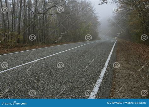 A Curve Of A Country Road With White Lines Of Markings In An Autumn