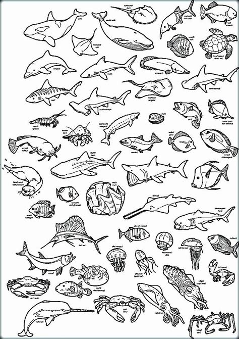 Print out animal pages/information sheets to color. Realistic Animals Coloring Pages Best Of Dogtagsfordogs ...