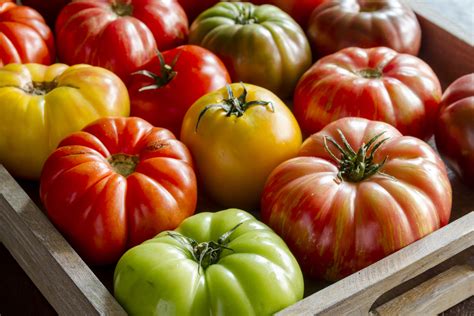 Heirloom tomato plant growth types. 8 Great Heirloom Tomato Varieties To Grow For Incredible ...