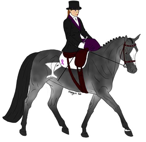 Hunt Seat Stallion Horse Bridle Dressage Horse Png Download 900881