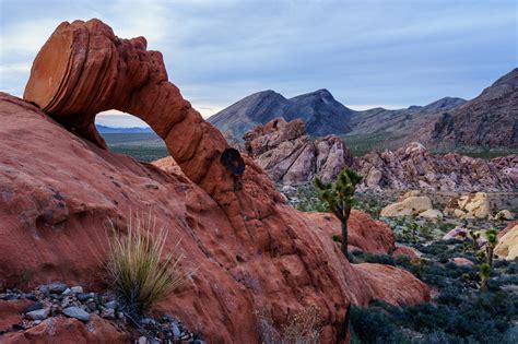 Gold Butte National Monument Nevadas Piece Of The Grand Canyon