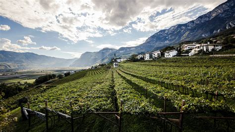 Discovering The Alpine Wines Of Alto Adige Sevenfifty Daily