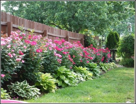 The 25 Best Landscaping Along Fence Ideas On Pinterest Garden Ideas