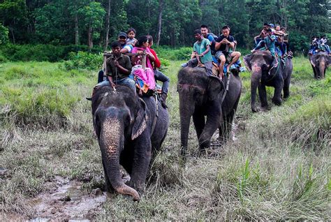 Bardiya National Park 4 Days Jungle Safari And Tour Himalayas On Foot