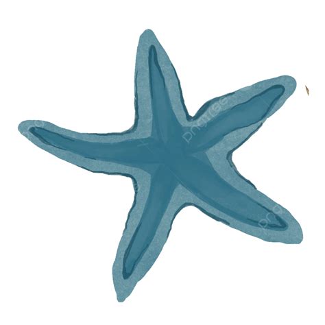 Estrella De Mar Azul Png Estrella De Mar Mar Estrella De Mar De